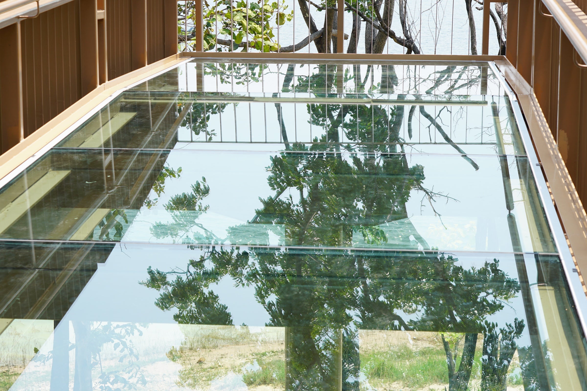 Could You Transform Your Pond With Toughened Glass?